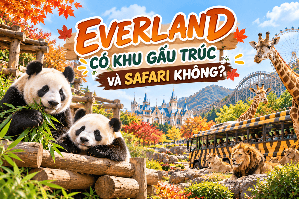 Everland có khu gấu trúc và Safari không? Khám phá Panda World và Safari World Hàn Quốc